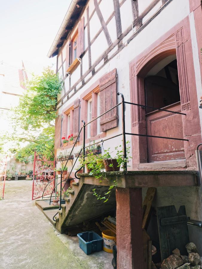 Le Haut Relais Des Seigneurs - 5 Mn Royal Palace De Kirrwiller Bouxwiller  Bagian luar foto
